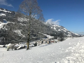 Auf dem Weg zu Kneippanlage Schwandalpweiher