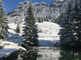 Wunderschöne Aussicht auf die Kneippanlage und Schwändelifluh