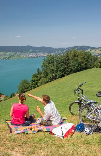 Picknicken mit Blick auf den Ägerisee