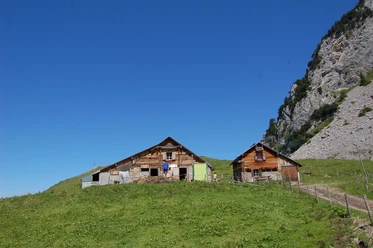 Alp Laubgarten