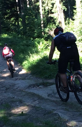 Waldabschnitt der Rigi-Tour