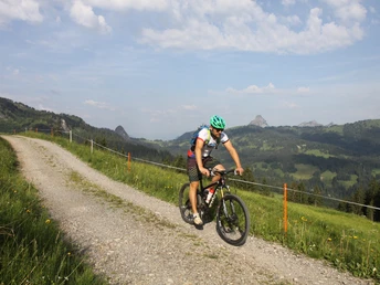 Hummel mit Grosser Mythen im Hintergrund