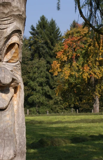 Sprechende Lärche am Zwergenweg