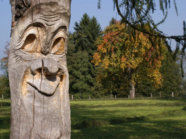 Sprechende Lärche am Zwergenweg