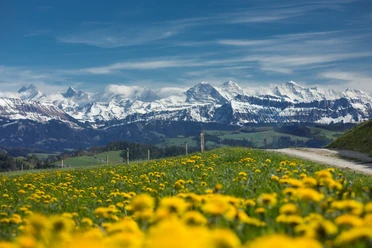 Im Frühling herrscht eine unglaublich schöne Stimmung auf dem Höhenweg zwischen Entlebuch und Emmental.