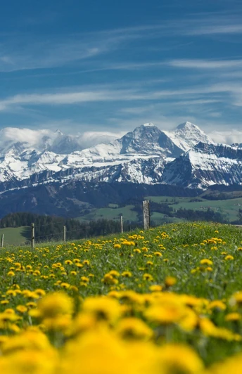Im Frühling herrscht eine unglaublich schöne Stimmung auf dem Höhenweg zwischen Entlebuch und Emmental.