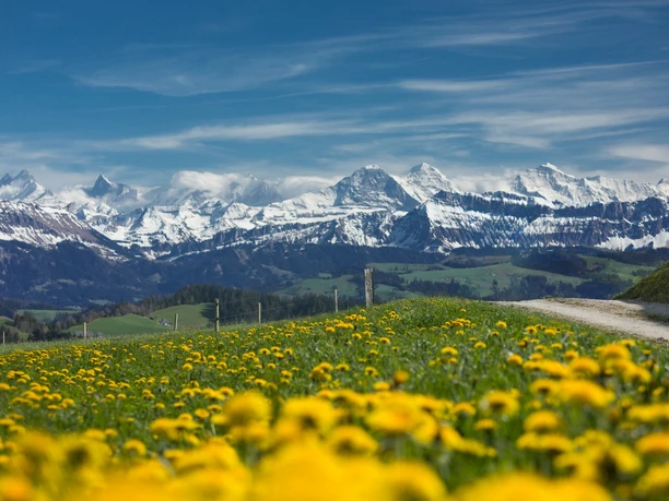 Im Frühling herrscht eine unglaublich schöne Stimmung auf dem Höhenweg zwischen Entlebuch und Emmental.