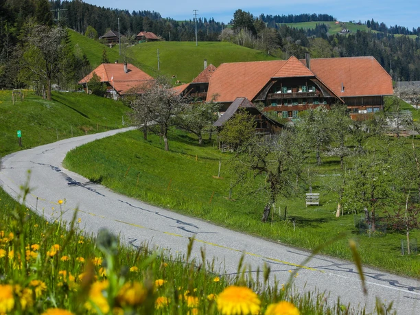 Typische Emmentaler Bauernhäuser.