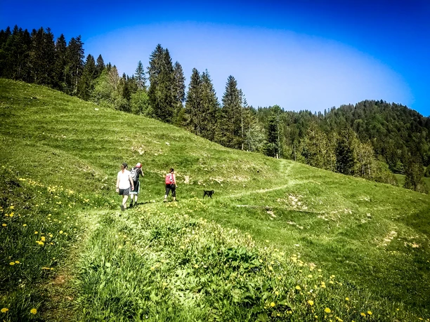 Rundwanderung Schimbrig
