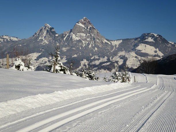 Panoramaloipe Morschach