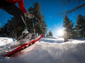 Mit den Schneeschuhen ins Göscheneralptal
