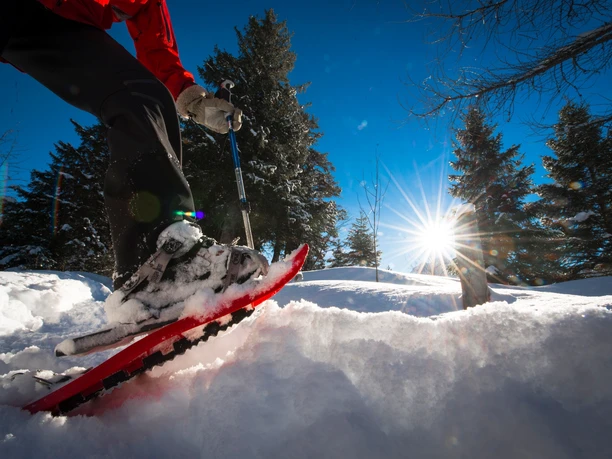 Mit den Schneeschuhen ins Göscheneralptal