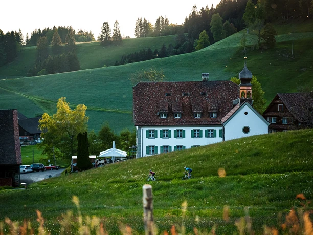 Beim St. Meinrad angekommen können Sie sich auf eine fantastische Abfahrt nach Pfäffikon freuen.