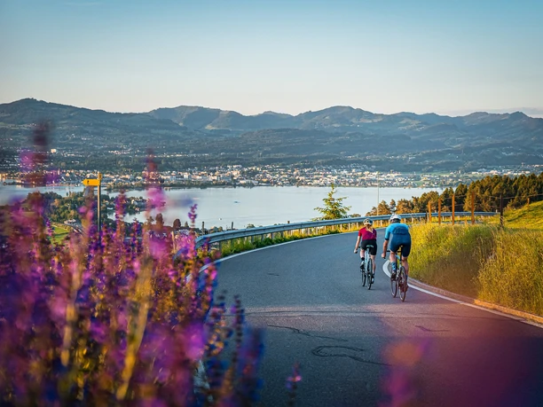 Abfahrt vom St. Meinrad hinunter an den Zürichsee.