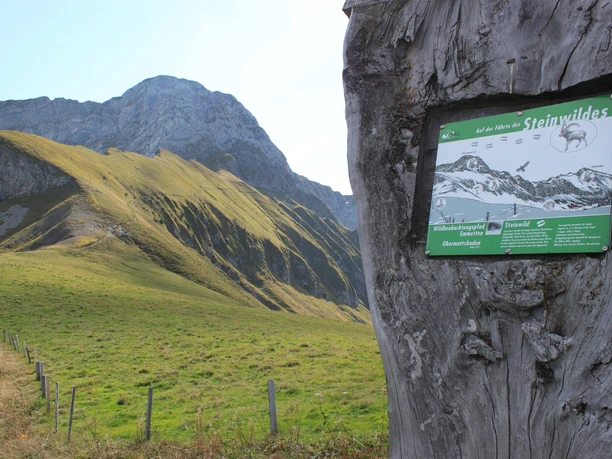 Tafeln mit Informationen zu den Wildtieren