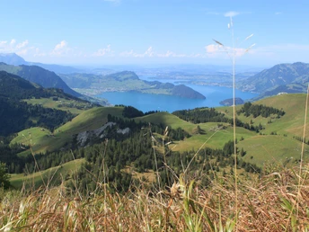 Aussicht auf den Vierwaldstättersee