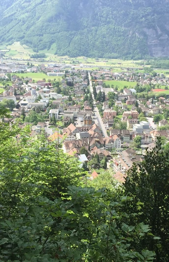 Sicht vom Altdorfer Bannwald auf das Dorf Altdorf
