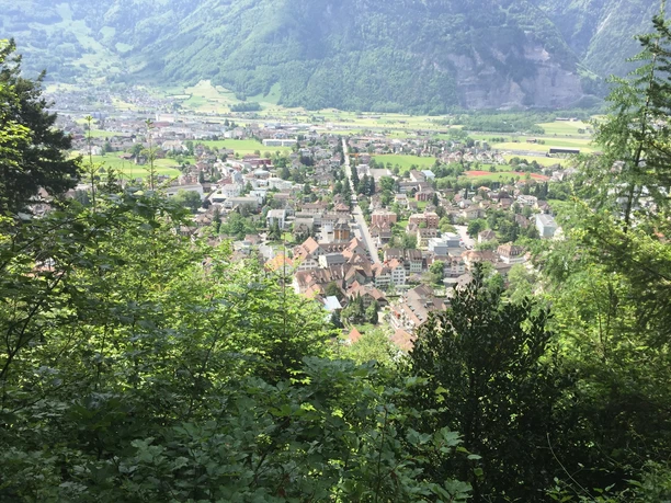 Sicht vom Altdorfer Bannwald auf das Dorf Altdorf