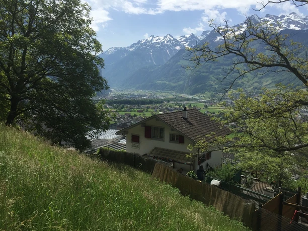 Schöne Rundsicht vom Bannwald Altdorf