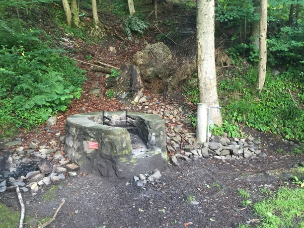 Es gibt verschiedene Möglichkeiten, um zu grillieren.