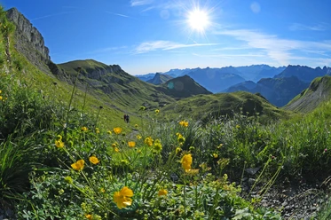 Isenthal -Klewenalp, kurz vor Hinterjochli