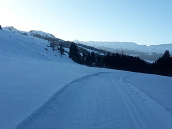 Die Langlaufloipe Dorf mit Sicht auf die Schrattenfluh