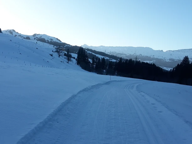 Die Langlaufloipe Dorf mit Sicht auf die Schrattenfluh