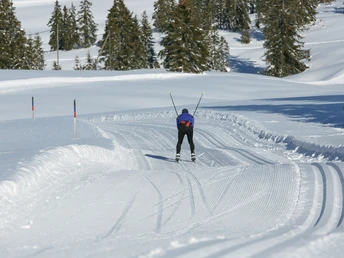 Mit Schwung gehts leicht hinab Richtung Salwideli