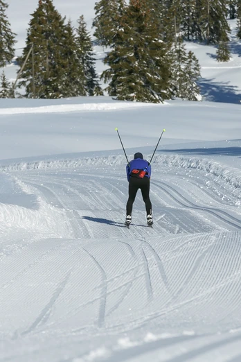 Mit Schwung gehts leicht hinab Richtung Salwideli