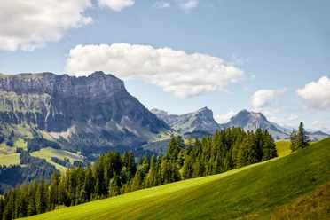 Aussicht von der Marbachegg