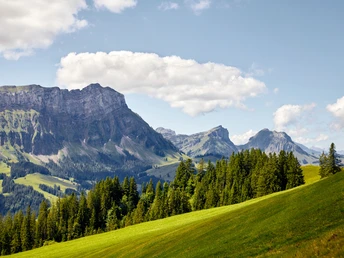 Aussicht von der Marbachegg