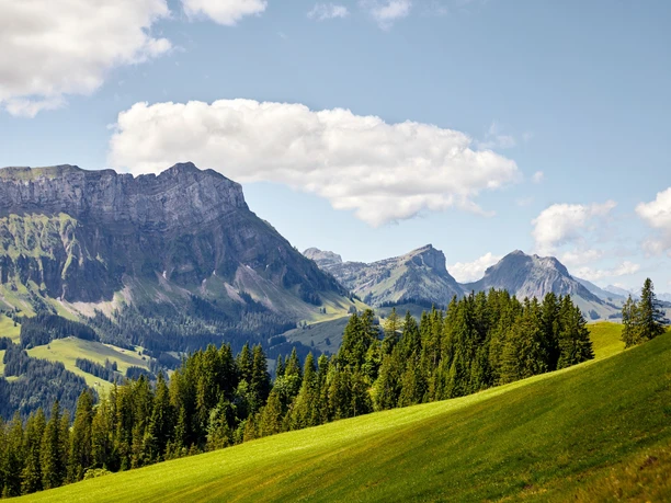 Aussicht von der Marbachegg