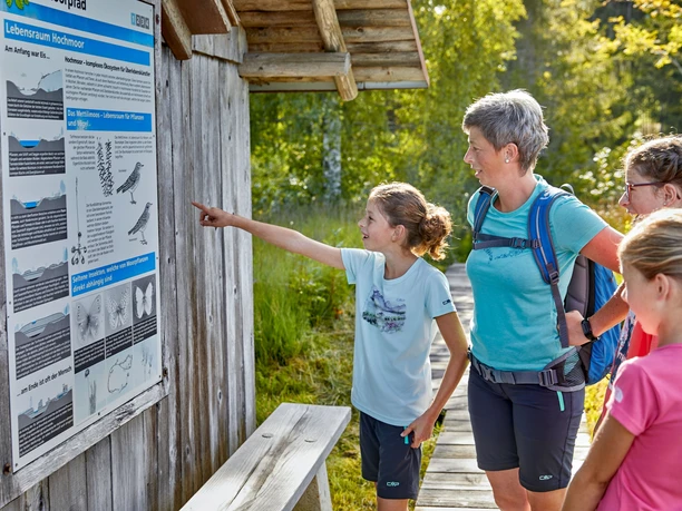 Wissenswertes über das Moor und den früheren Torfabbau bei der Plattform Erde & Moor.