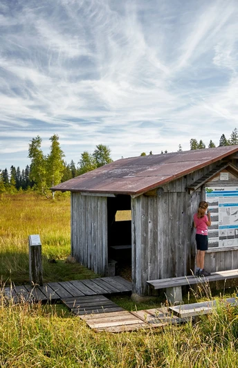 Plattform Erde & Moor beim Mettilimoos.