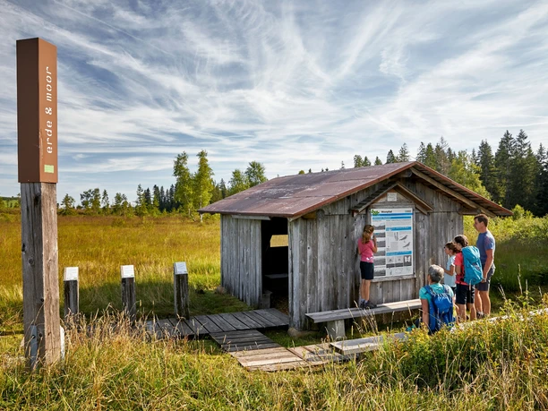 Plattform Erde & Moor beim Mettilimoos.