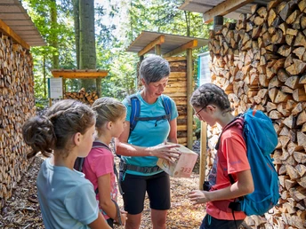 Plattform Wald & Holz zwischen Entlebuch und Finsterwald.