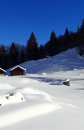 Schneeschuhtour Brünigpass-Ober Brünig-Lungern