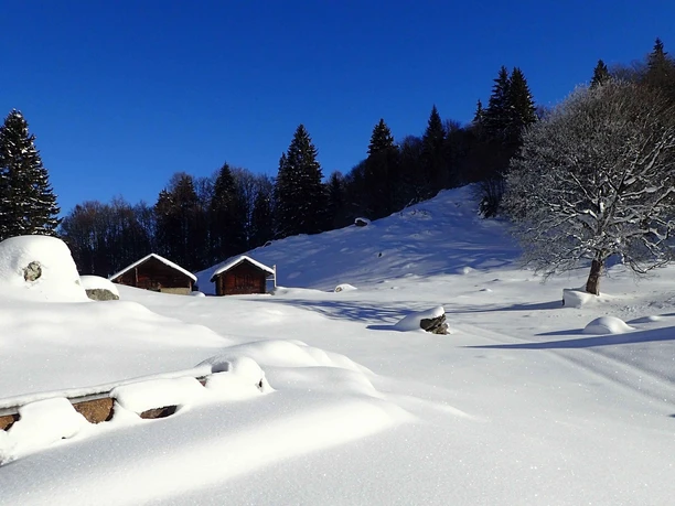 Schneeschuhtour Brünigpass-Ober Brünig-Lungern