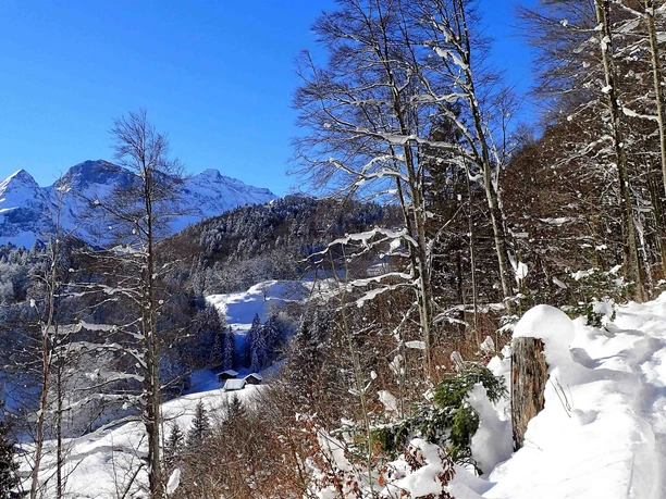Schneeschuhtour Brünigpass-Ober Brünig-Lungern
