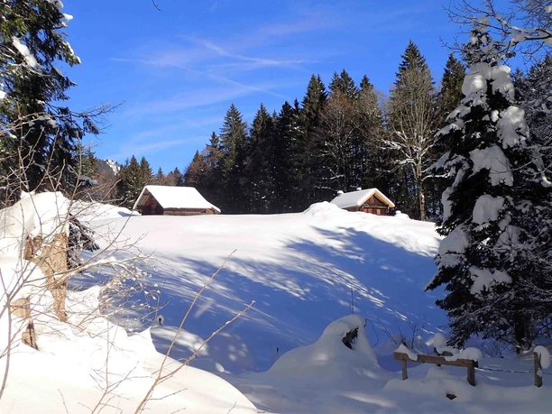 Schneeschuhtour Brünigpass-Ober Brünig-Lungern