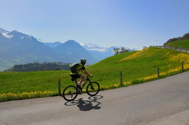 Langisbike