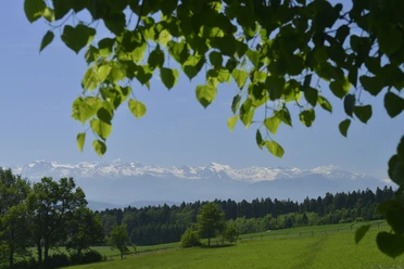 Aussicht Horben