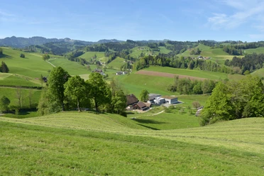 Neue Napfmilch AG eingebttet in die Napflandschaft