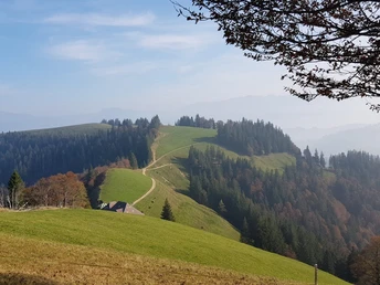 Blick zurück Richtung Stächelegg