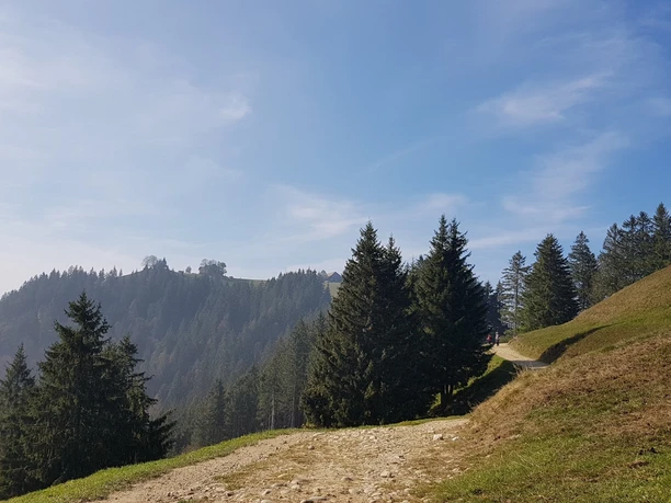Blick zum Gipfel