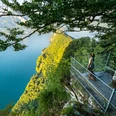 Aussichtsplattform auf dem Felsenweg Bürgenstock