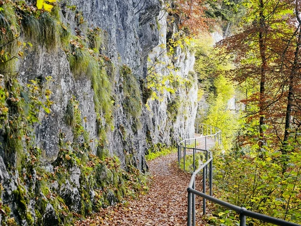 Felsenweg auf dem Bürgenstock im Herbst Rund um den Buergenstock im Herbst