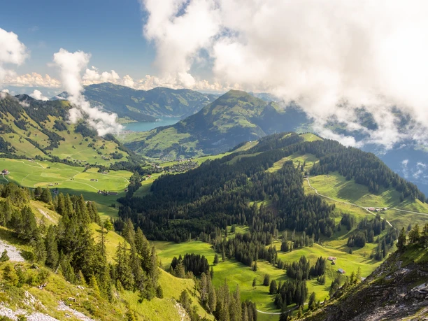Aussicht auf Wirzweli und den Vierwaldstättersee