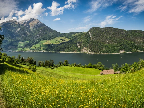 Panorama in Oberrüti, Blick auf den Alpnachersee