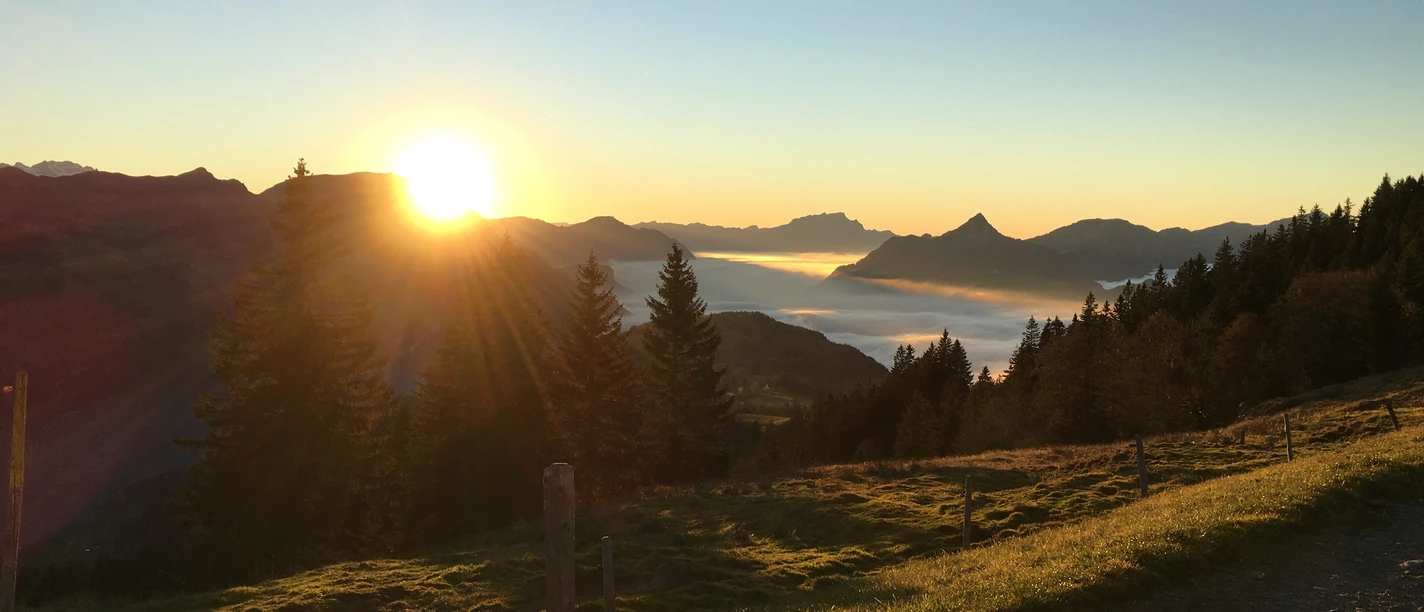 Abendstimmung auf der Sternenegg